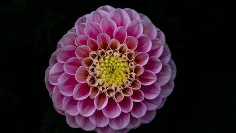 周运｜杀破狼 星座运势（8月10日～8月16日）