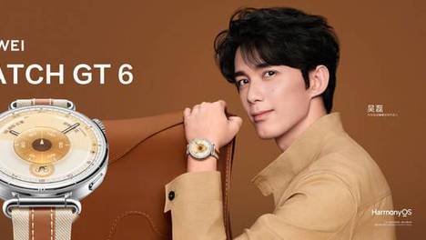 国务院食安办派出工作组指导督办