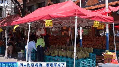 榴莲价格大跳水！“可能会继续降价”
