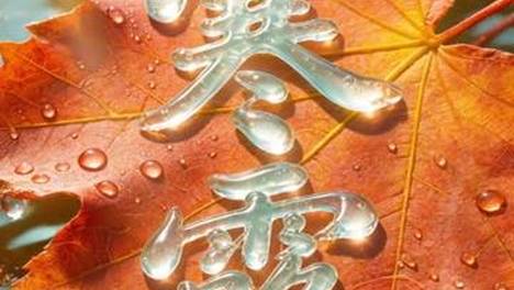 视频海报丨今日寒露，枫露凝光秋意浓