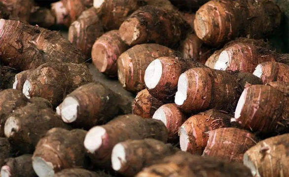 窦骁刘浩存 庄图南李佳该有的样子