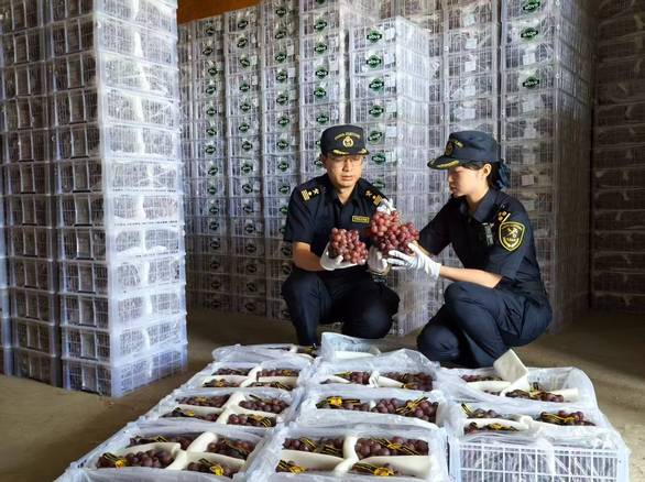 胡楚靓回应连续十年踩中风口