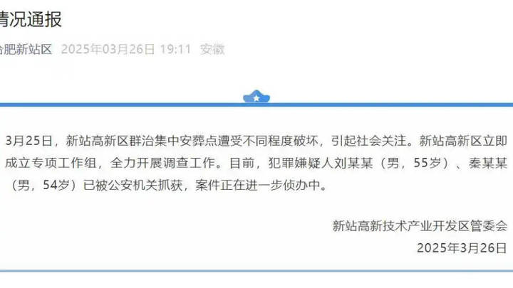 群治集中安葬点遭破坏,嫌犯已被警方抓获,应该追究刑事责任吗?