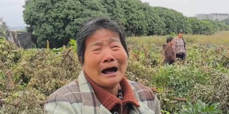轻信“内部操作”能改成绩 一女财务被骗两千元