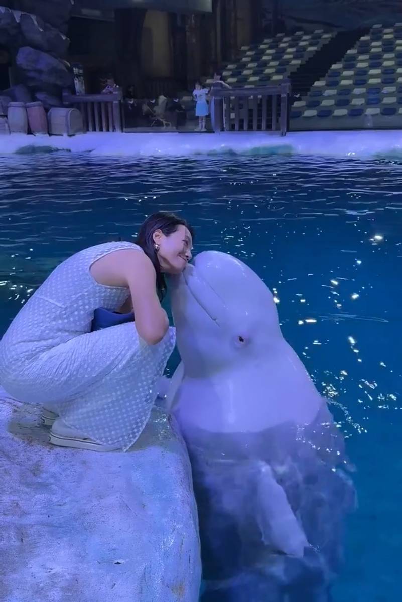 朱丹带儿子女儿逛海洋馆 住海底酒店好梦幻