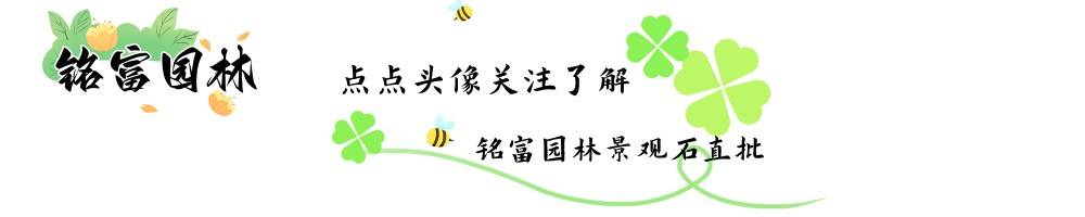 廣東奇石批發(fā)市場在哪 英石疊石假山石廠家 英德石園林工程設(shè)計