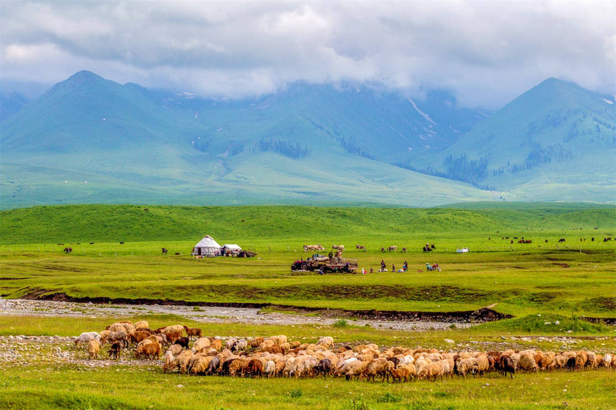 新疆最美公路—独库公路，6月1日正式通车！快收藏这份保姆级攻略！