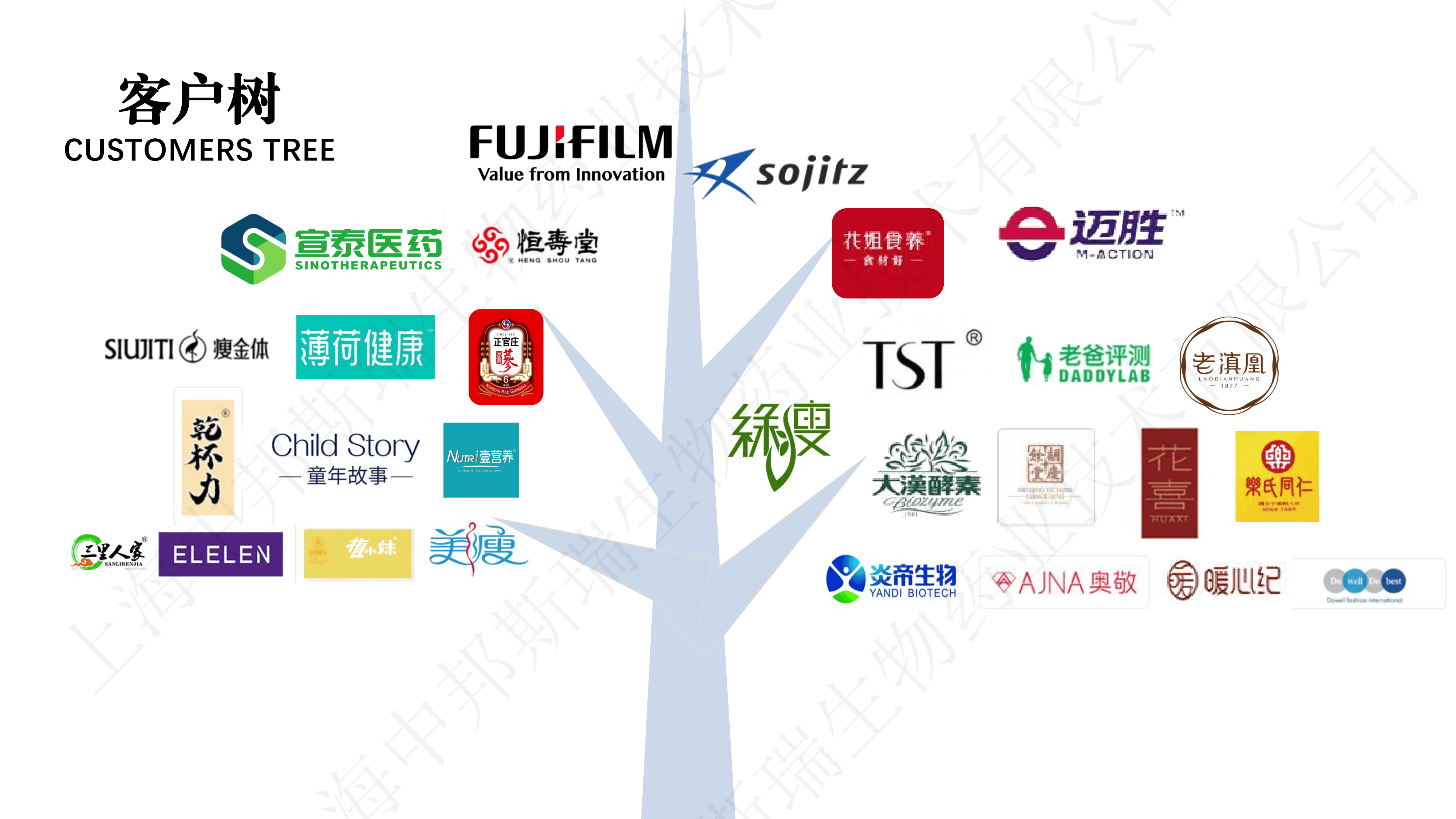 酵素飲品貼牌代加工廠家