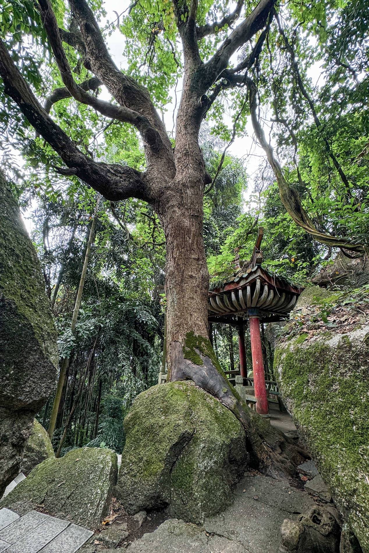 🌸中工网 【管家婆一肖-一码-一中一特】_买房退税！取消限购！这一城市，放大招→