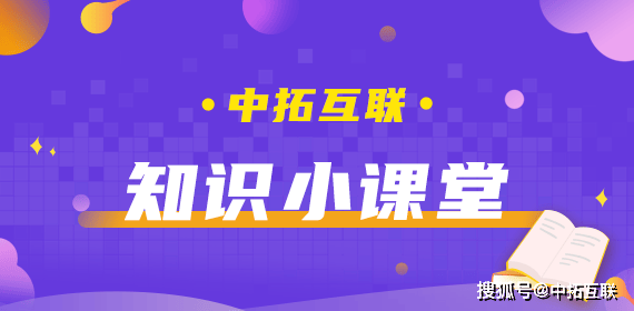 厦门中拓互联域名科普：.INFO域名，信息时代的优选之选