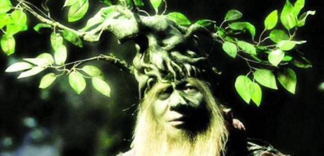 孙悟空路过荆棘岭,为啥非要杀死6位树精,他们的名字有何深意?