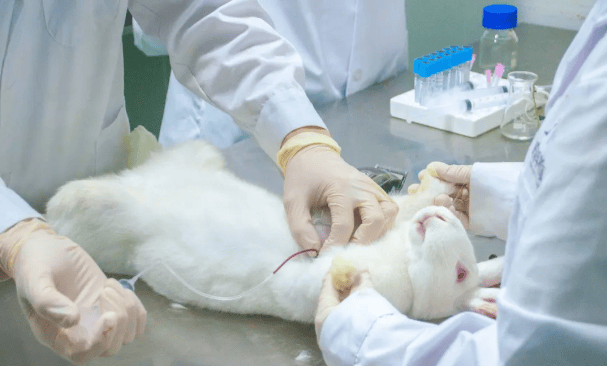 医疗器械检测-在用医疗器械质量检测