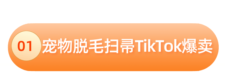 熊猫体育下载单品月售47万小众宠物清洁用品出海持续爆单