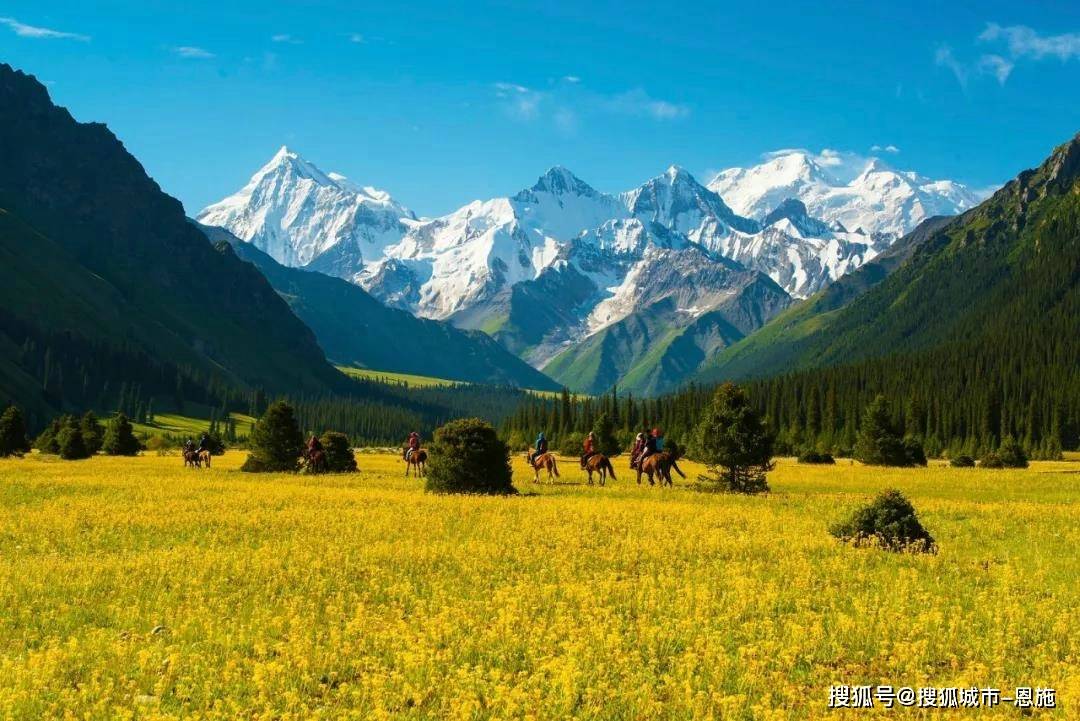 快来看（新疆旅行几月份去最好）新疆旅行社投诉榜单，新疆北疆旅游10天报价查询最新，省钱攻略！，一杯白水的人生感悟，墨鱼汁什么味道，