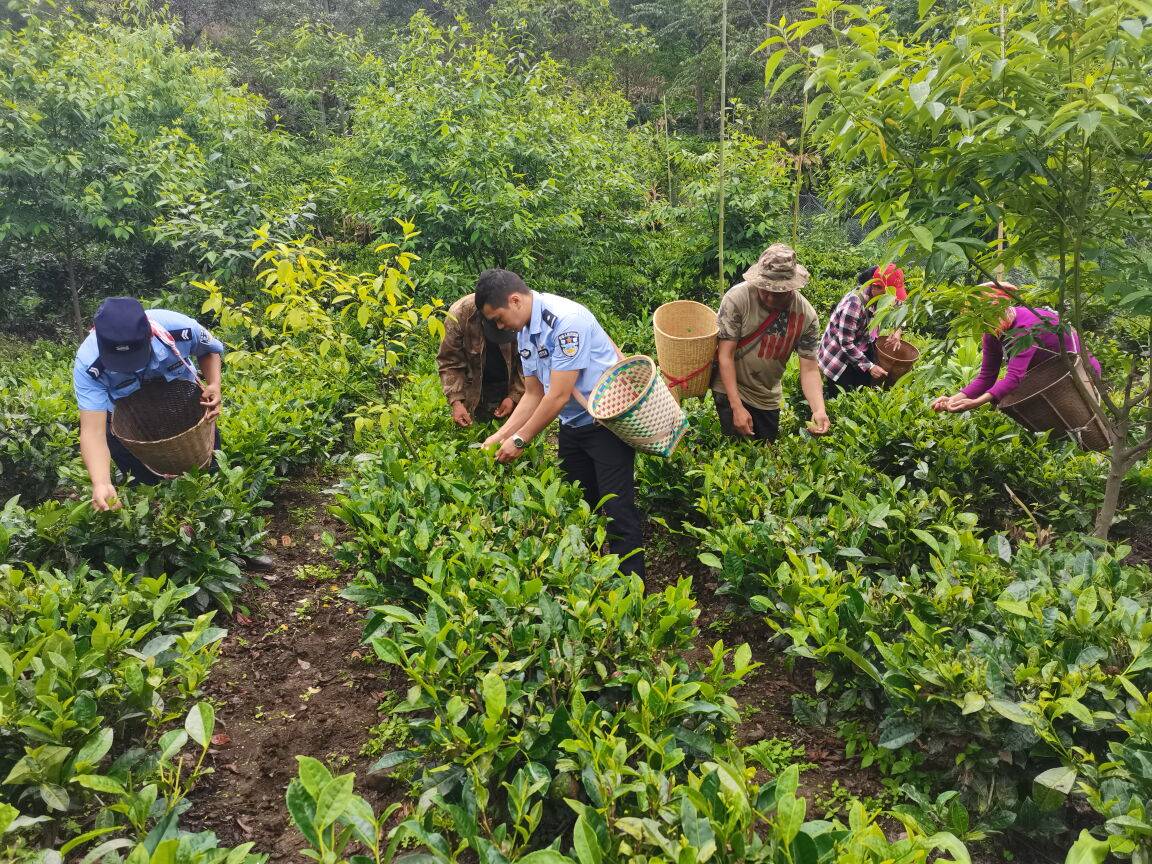 传承雷锋精神 践行初心使命——鹿马登所用心用情点亮为民星光