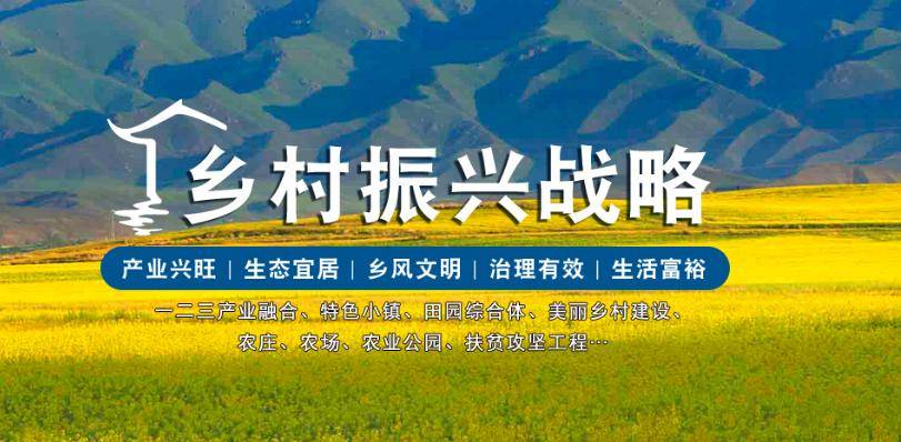 2025年最佳加密货币赌场排行榜 USDT & BTC支持乡村振兴战略工程机械行业有什么机会？