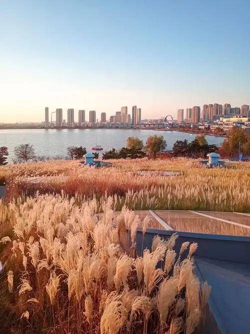 虎牙直播_NBA直播_足球篮球英超欧洲杯高清体育赛事有虎牙的吕文扬的荣城调研