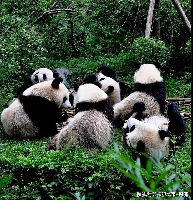 四川纯玩5天4晚高端奢华游攻略人均多少钱？五星体验+精华景点全含建议收藏！【OKX 哈希游戏】区块链加密游戏玩法教程，新手必看！