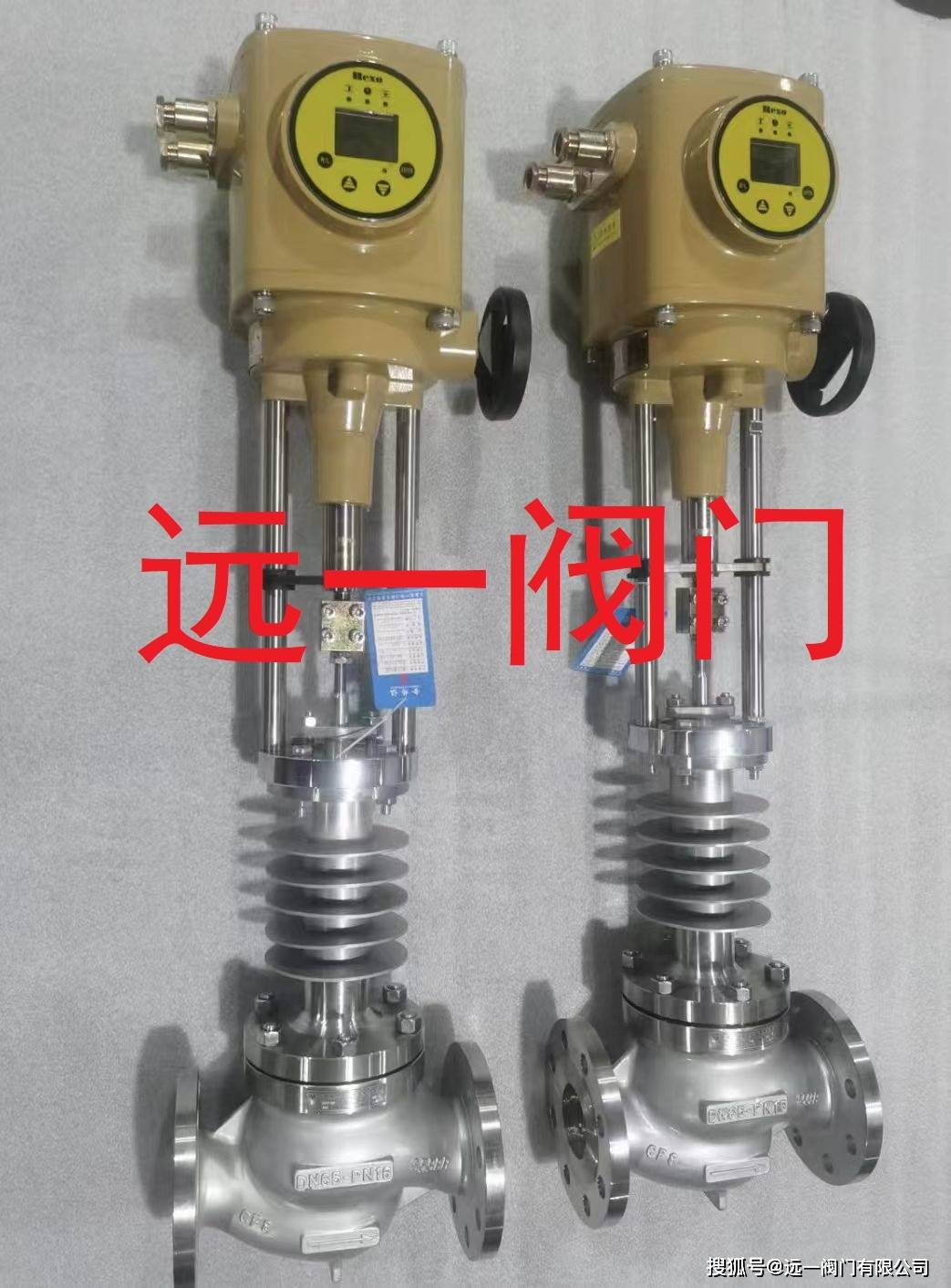 T941W-16PT941H-16PYRRL不锈钢防爆电动调节阀(图1)