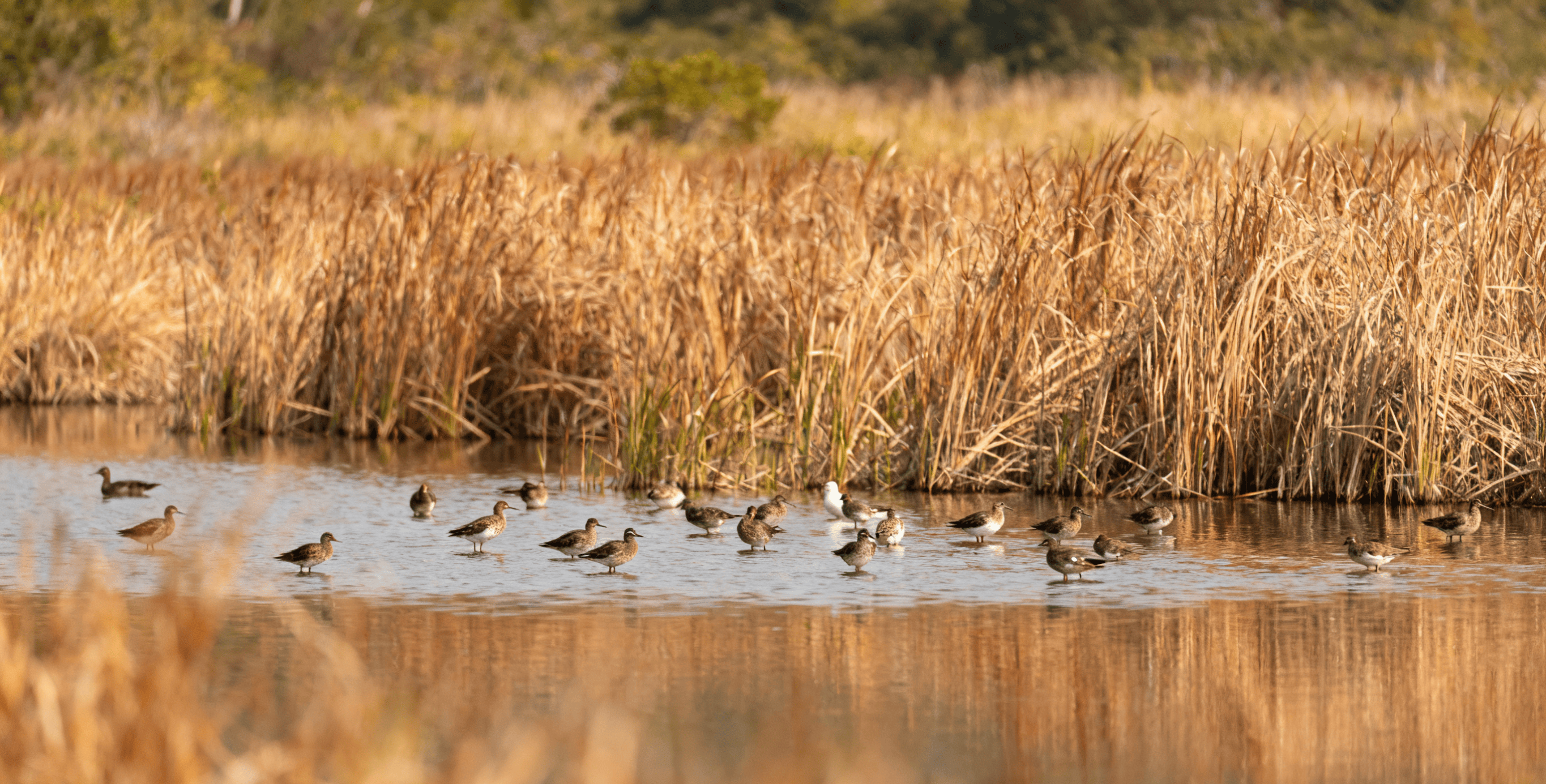 半岛体育- 半岛体育官方网站- APP下载港澳签注新规轻松搞定签注玩转港澳必看攻略