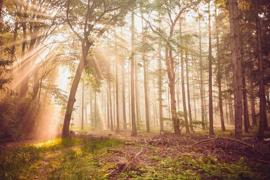 足球直播-NBA直播_英超_世界杯体育【