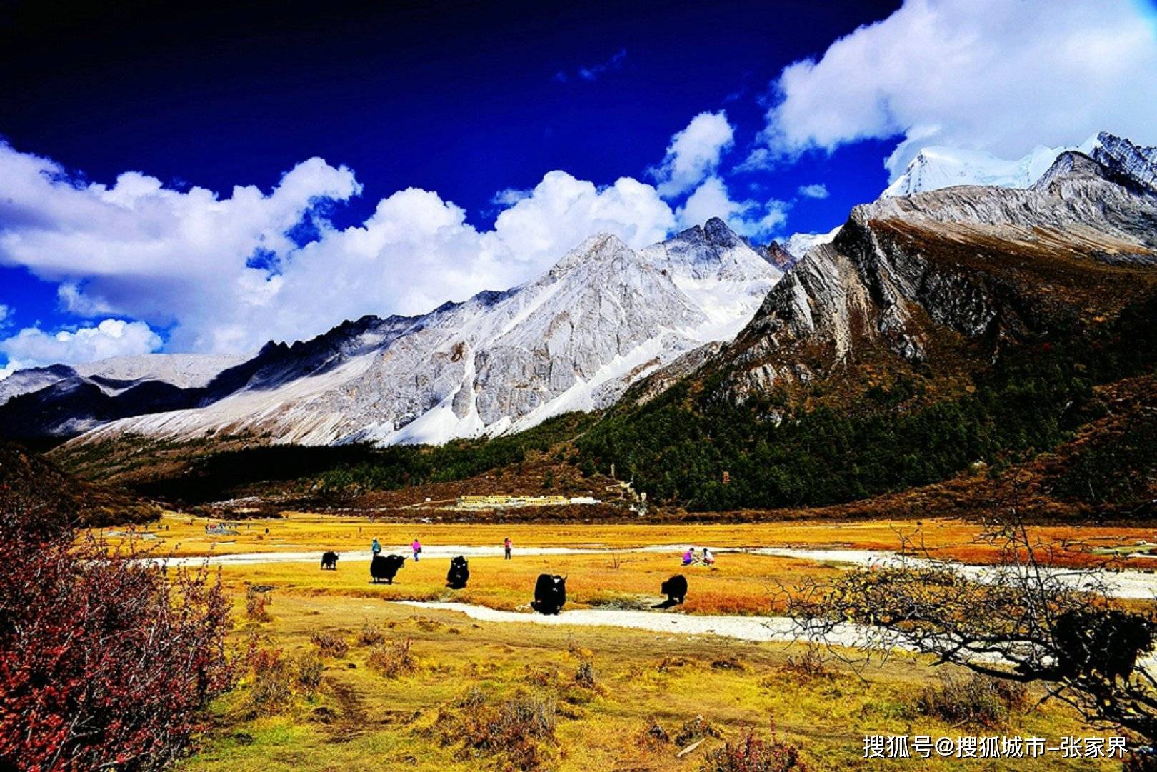 四川旅游五日游景点推荐真实经历分【OKX