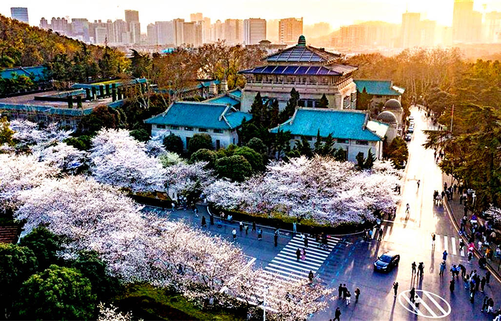 003武汉.jpg