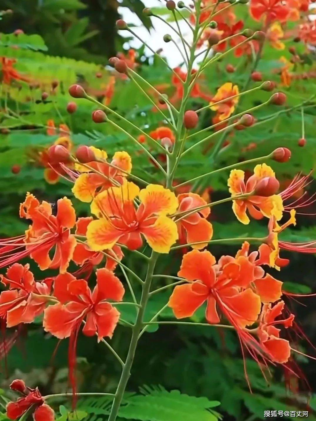 2026高考广州二模作文审题立意分析与范文