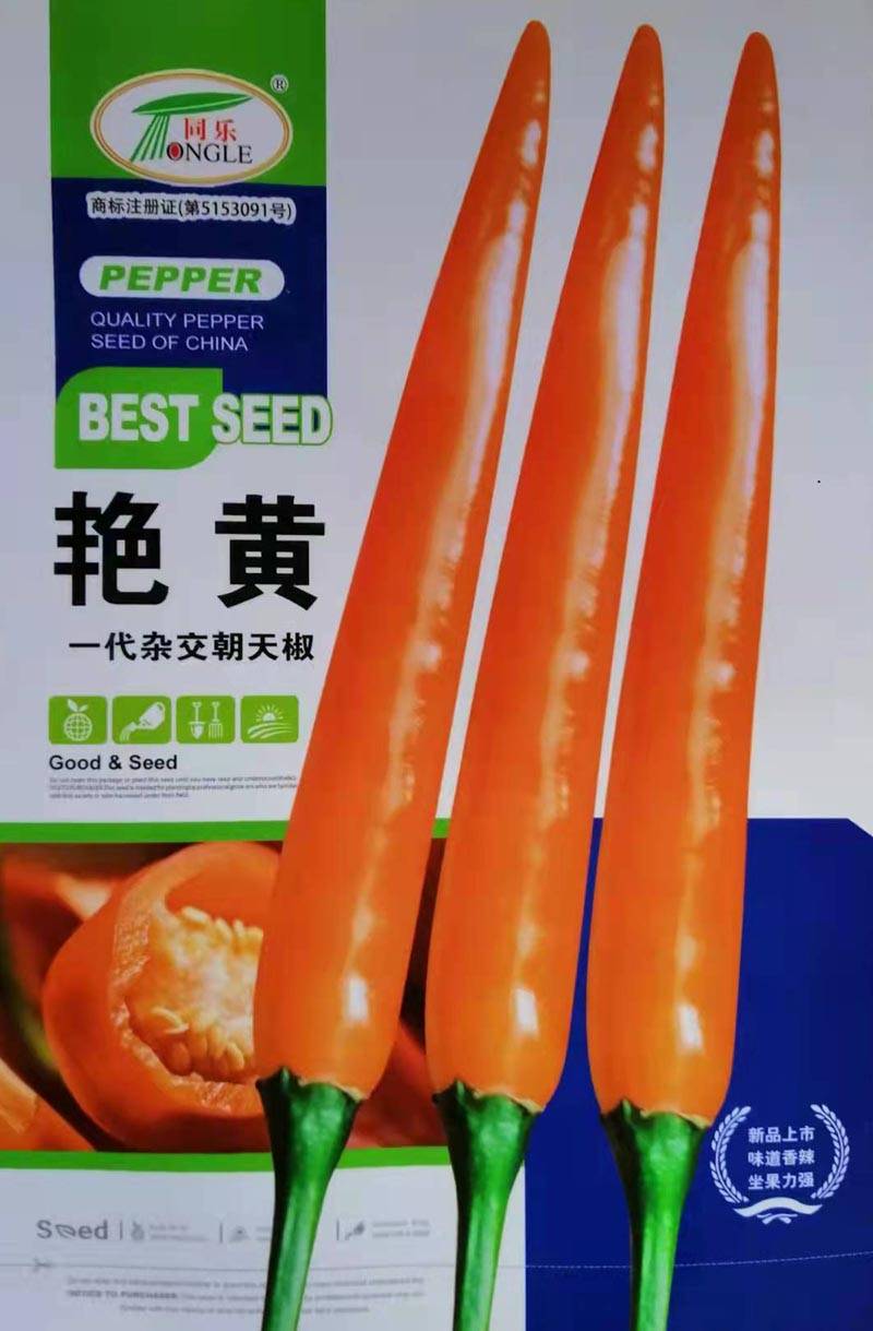 艳黄朝天椒黄辣椒黄米椒黄贡椒高产辣椒种子