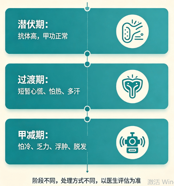 桥本甲状腺炎：免疫系统的“小脾气”，别慌，科学应对有良方