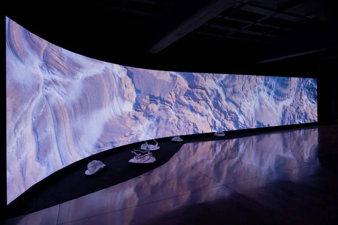 剧变的世界,如何才能“去中心化”地重塑?