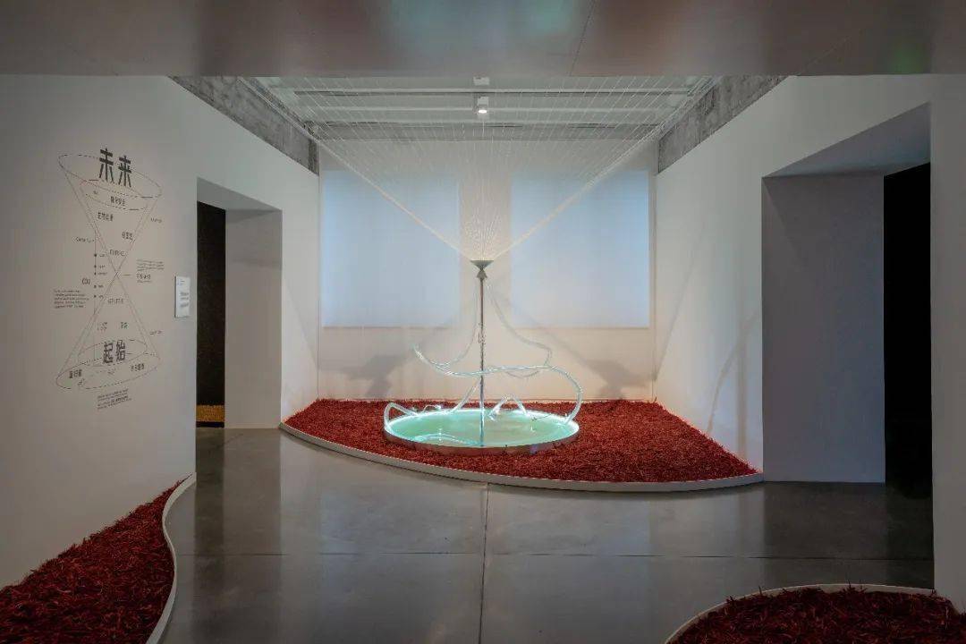 剧变的世界,如何才能“去中心化”地重塑?