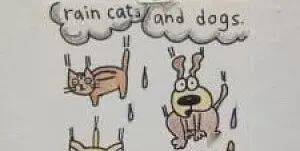 科普 | “dog days”是啥意思？可不是“狗日子”！