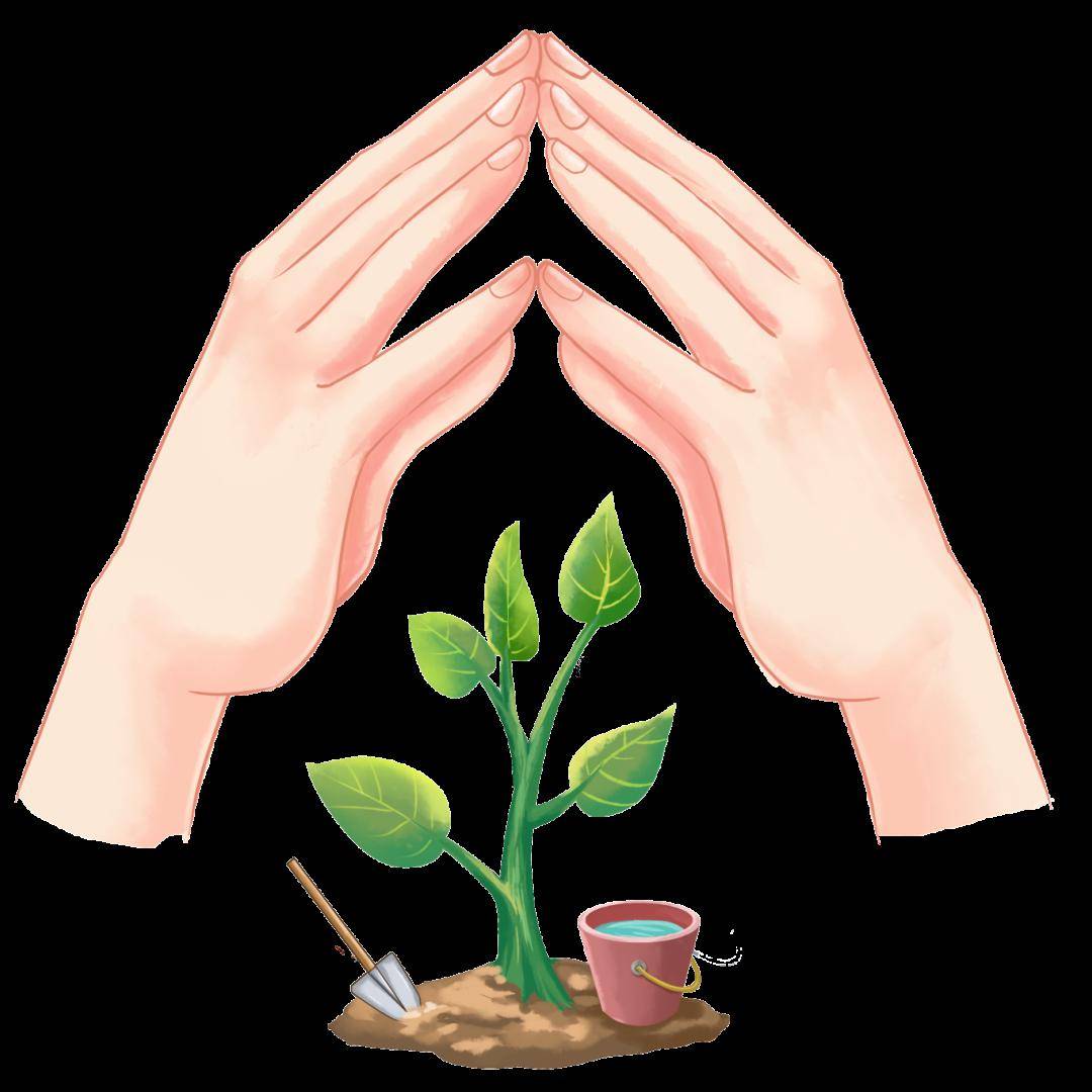【植完美电竞树节】 教你如何栽种一棵树(图6)