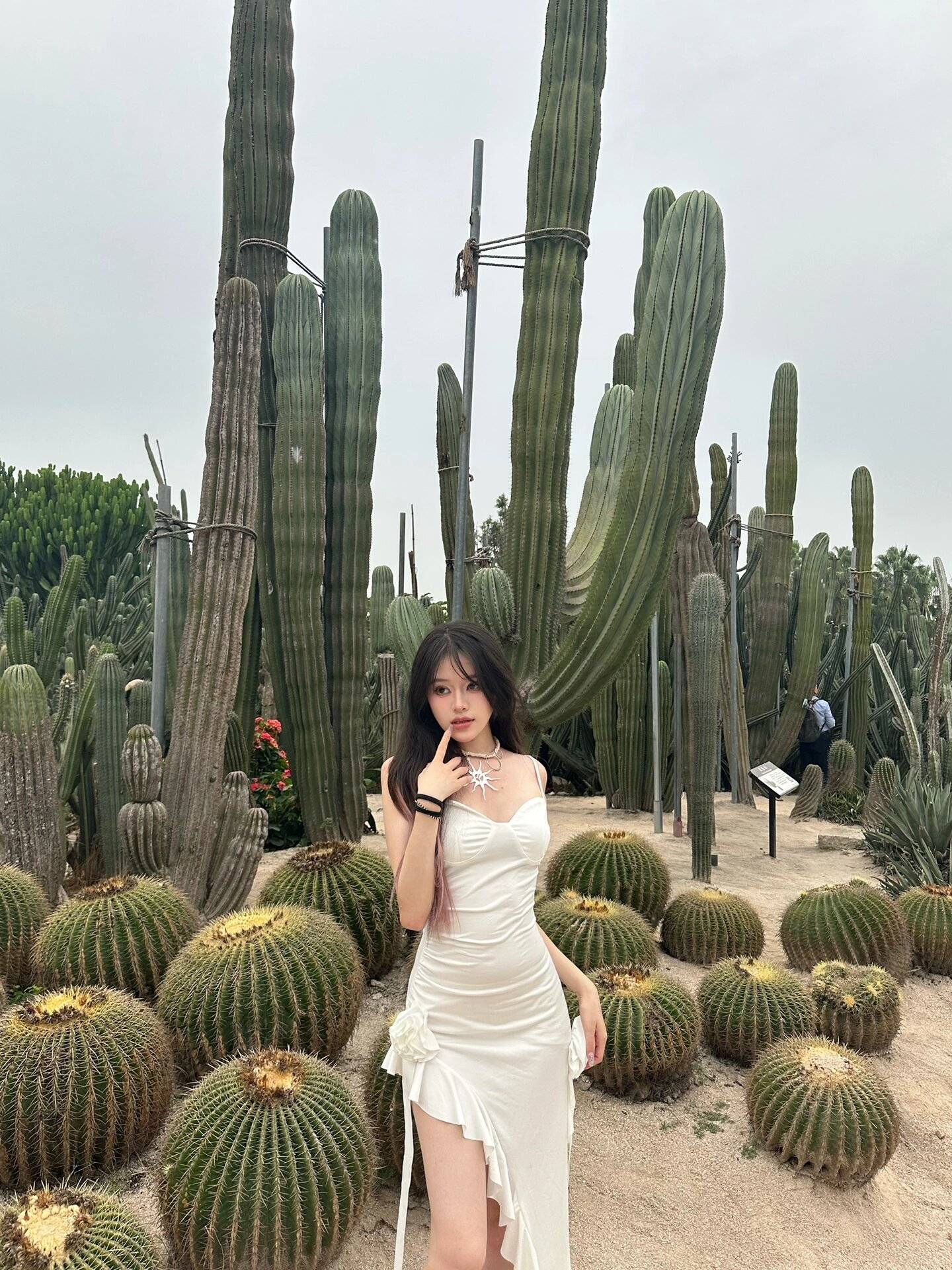 Binance Casino - 领先的数字货币娱乐场，安全稳定，极速存取厦门4天3夜旅游攻略打卡 人均1000的游玩攻略小白一定要知道