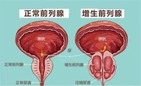 🌸中青在线 【管家婆必出一肖一码一中一特】|“仲夏好孕·医路相伴”普瑞医院开展湘女健康医联盟公益科普义诊  第3张