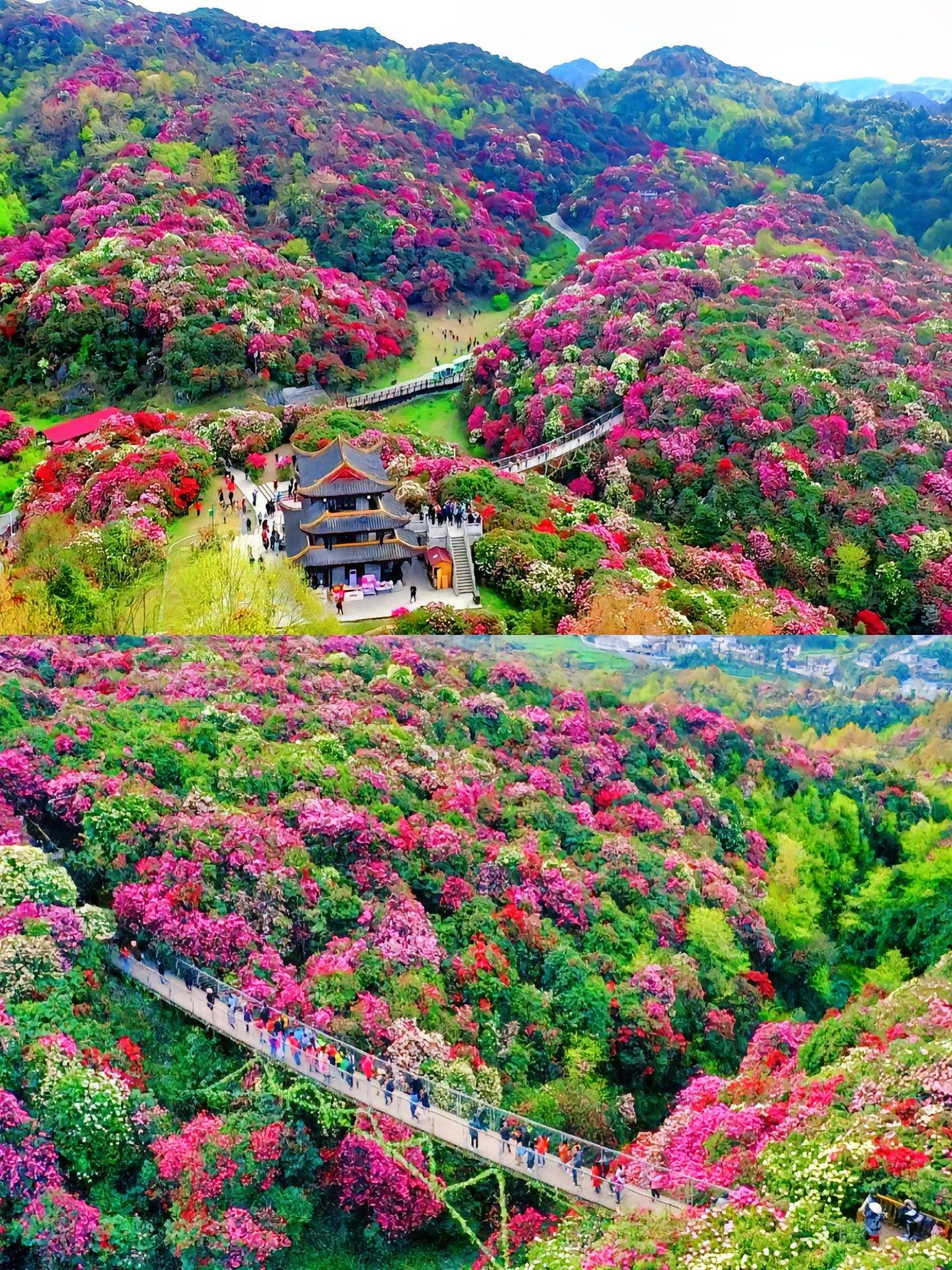 贵州冬季旅游胜地，让你流连忘返！