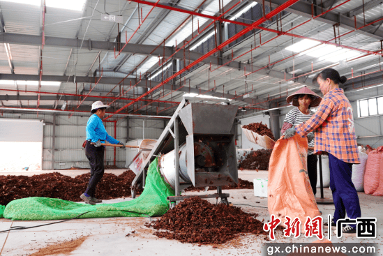 中央专项彩票公益基金为防城港市香料产业共同繁荣铺路
