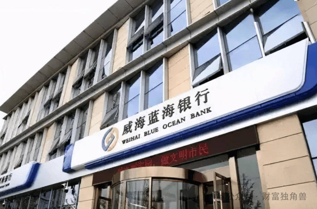 威海蓝海银行：2024 业绩 “腰斩”，高流动性背后暗藏隐忧