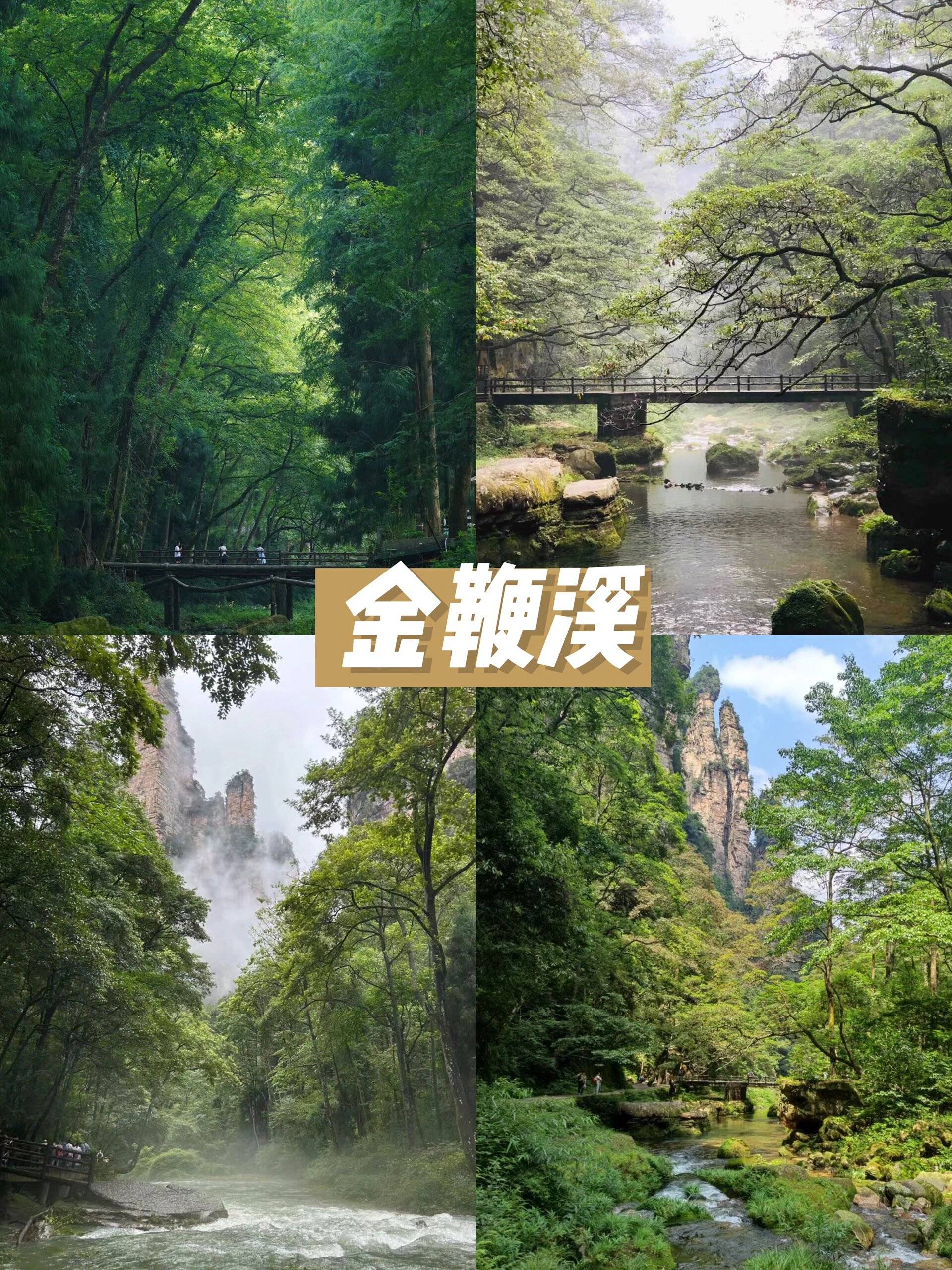 自驾游必看！四人自Binance Casino - 领先的数字货币娱乐场，安全稳定，极速存取驾游张家界费用！