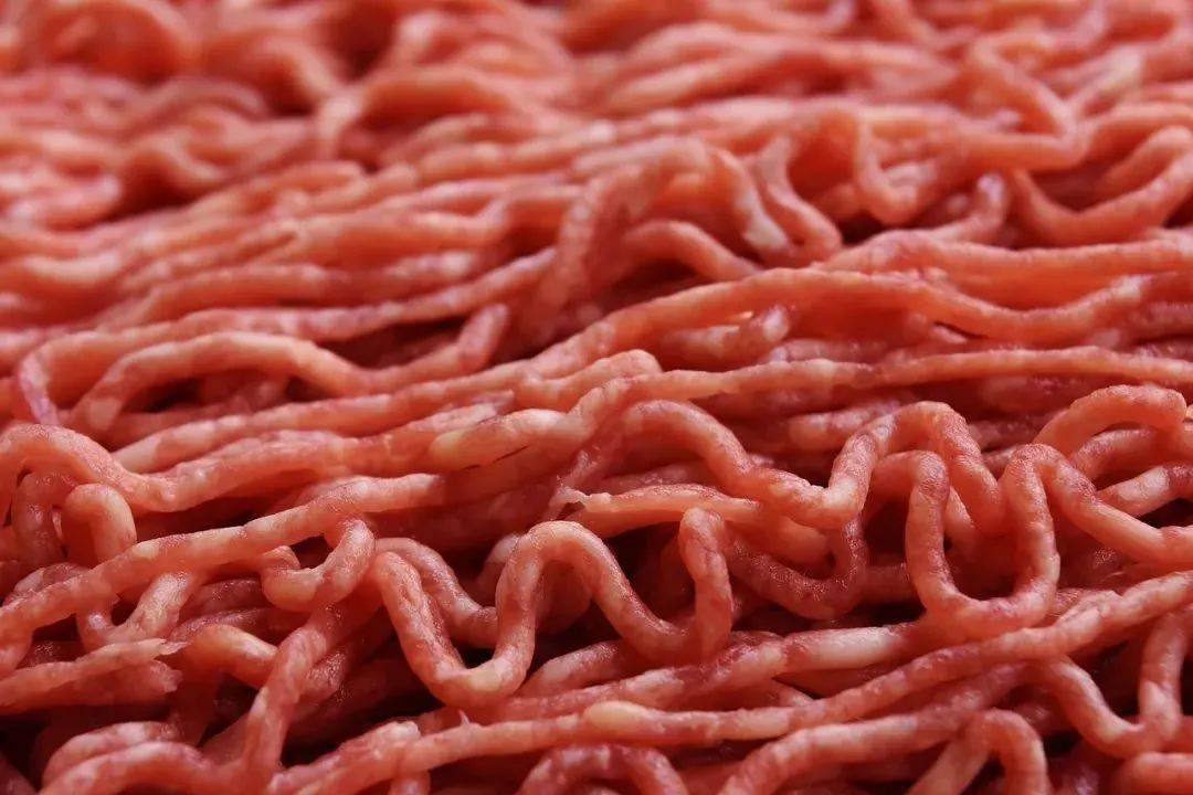 能生啃人肉的飞蝇入侵美国：在伤口中产卵，7天就能破体而出