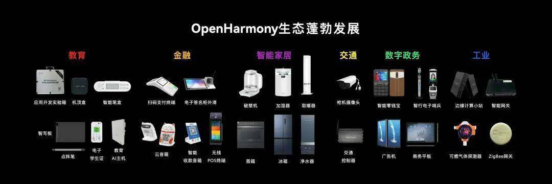 万字对话王成录：替代安卓，只是鸿蒙价值的不到5%