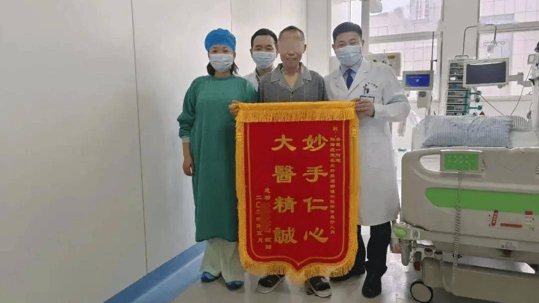 全球首例！中国团队成功将猪肝移植给活人