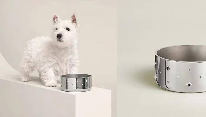 ssr小火箭共享账号