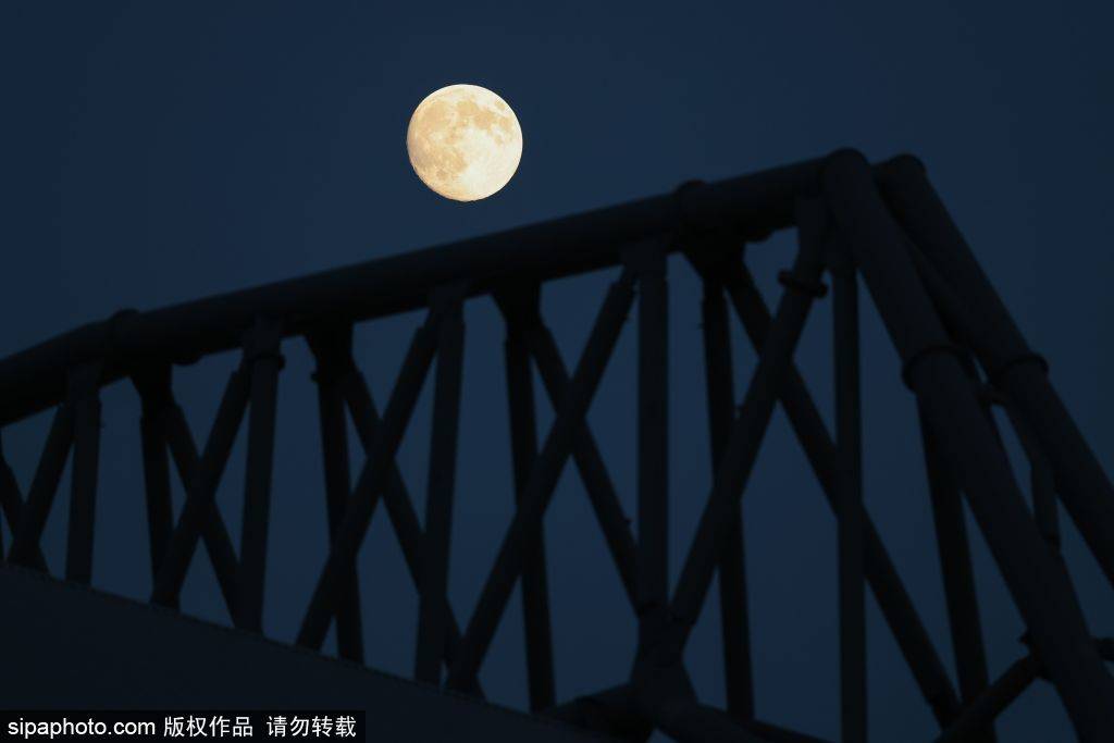 转会传闻，新闻：萨拉赫离开，埃利奥特加盟利物浦？