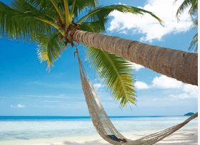 “报团游好选择：三日游跟团旅行Binanc