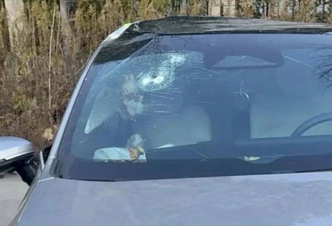 交警提醒：很多人中招赶快自查清理(图1)