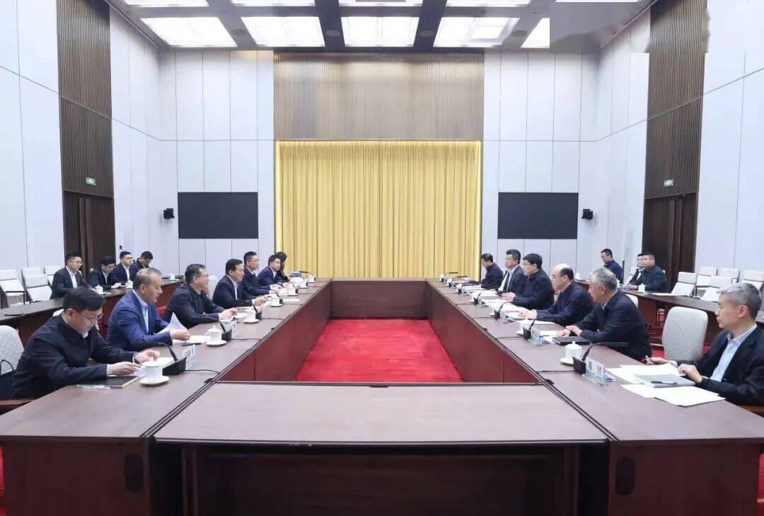 国家电网与国家电投集团举行会谈