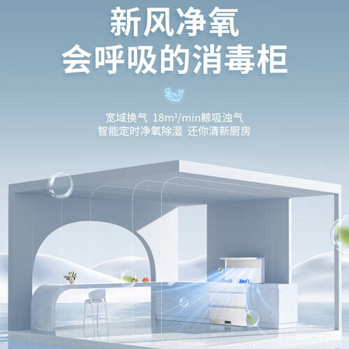 集成灶市场新宠：十款高性价比热销产品推荐(图2)