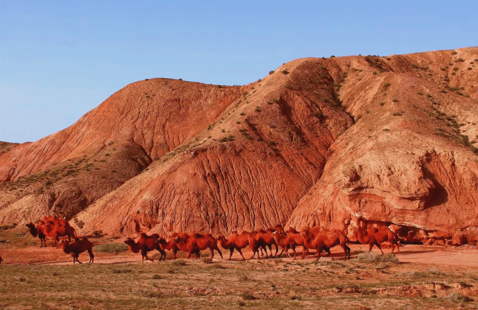 剖析高性价比的青甘大环线攻略小众景点推B